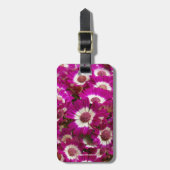 Schöne Lila Cineraria-Blume Gepäckanhänger (Vorderseite vertikal)