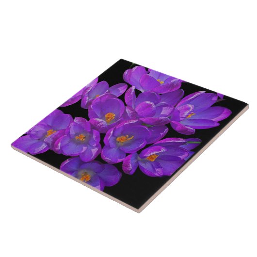 Schöne Lila Frühlingskurven Fliese (Seite)