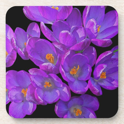 Schöne Lila Frühlingskurven Getränkeuntersetzer (Vorderseite)
