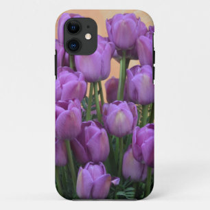 Schöne lila Frühlingstulpen iPhone 11 Hülle