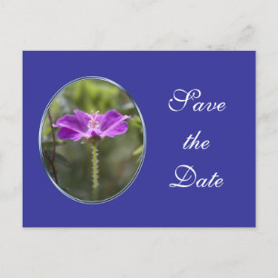 Schöne lila Gartenblume Save-the-Date-Hochzeit Ankündigungspostkarte