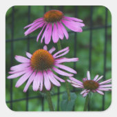 Schöne Lila Gastfreundschaft Quadratischer Aufkleber (Vorderseite)