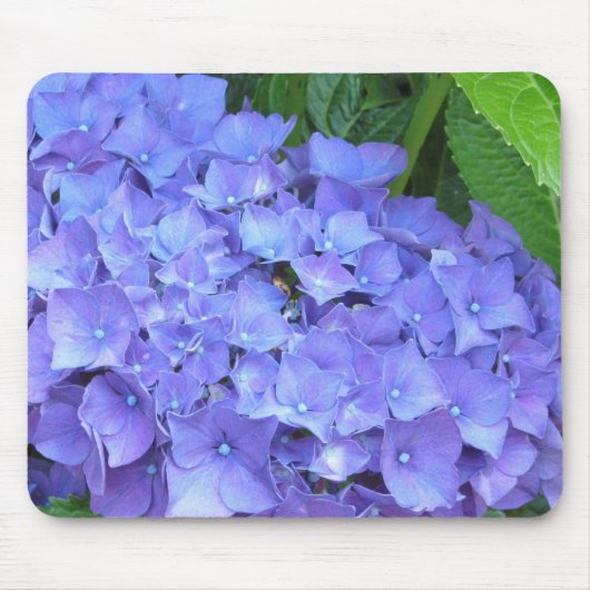 Schöne Lila Hydrangeas Mousepad (Vorne)