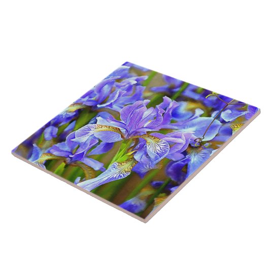 Schöne Lila Iren im Mai Fliese (Seite)