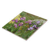 Schöne lila Iris-Blumen-Blumenfoto Fliese (Seite)