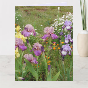 Schöne lila Iris-Blumen-Blumenfoto Karte