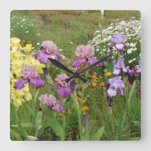 Schöne lila Iris-Blumen-Blumenfoto Quadratische Wanduhr