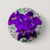 Schöne lila Iris Button (Vorderseite)