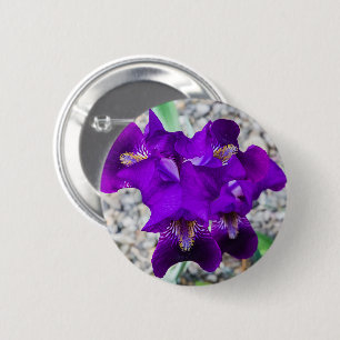 Schöne lila Iris Button