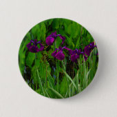 Schöne Lila Iris Button (Vorderseite)