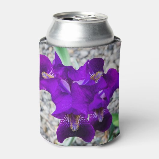 Schöne lila Iris Dosenkühler (Kanne Vorderseite)