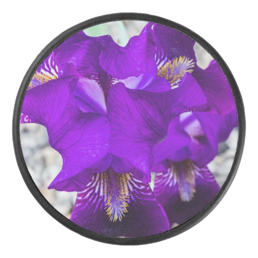 Schöne lila Iris Eishockey Puck (Vorderseite)