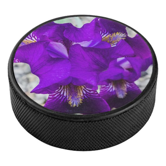 Schöne lila Iris Eishockey Puck (3/4)