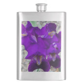 Schöne lila Iris Flachmann (Vorderseite)
