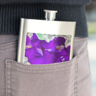 Schöne lila Iris Flachmann