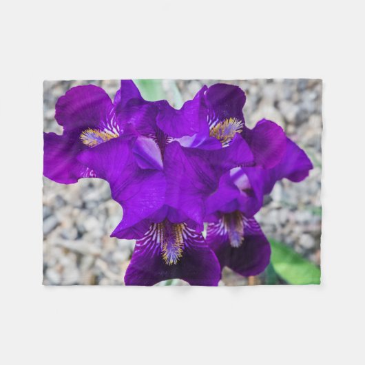 Schöne lila Iris Fleecedecke (Vorderseite (Horizontal))