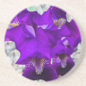 Schöne lila Iris Getränkeuntersetzer (Vorne)