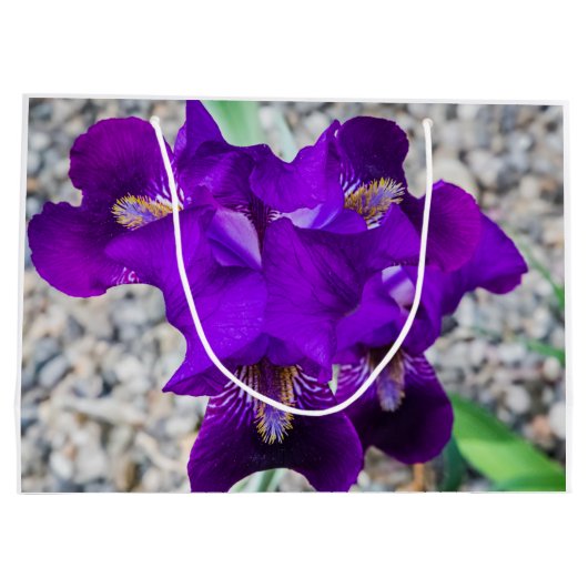 Schöne lila Iris Große Geschenktüte (Rückseite)