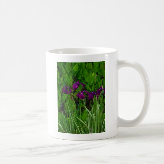 Schöne Lila Iris Kaffeetasse (Rechts)