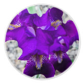 Schöne lila Iris Keramikknauf (Vorderseite)