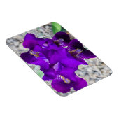 Schöne lila Iris Magnet (Rechte Seite)