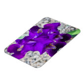 Schöne lila Iris Magnet (Linke Seite)