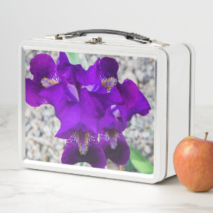 Schöne lila Iris Metall Brotdose
