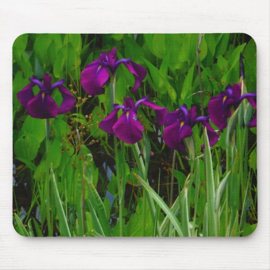Schöne Lila Iris Mousepad (Vorne)