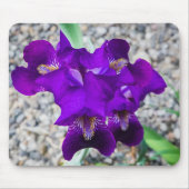 Schöne lila Iris Mousepad (Vorne)