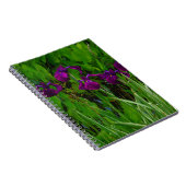 Schöne Lila Iris Notizblock (Rechte Seite)