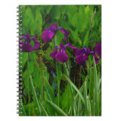 Schöne Lila Iris Notizblock (Vorderseite)