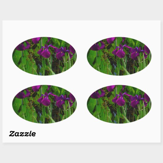 Schöne Lila Iris Ovaler Aufkleber (Blatt)