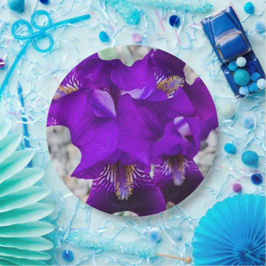 Schöne lila Iris Pappteller (Party)