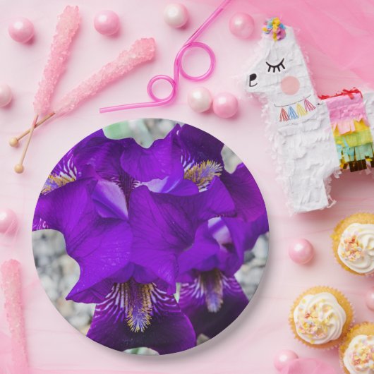 Schöne lila Iris Pappteller (Party)