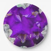 Schöne lila Iris Pappteller (Vorderseite)