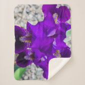 Schöne lila Iris Sherpadecke (Vorderseite)