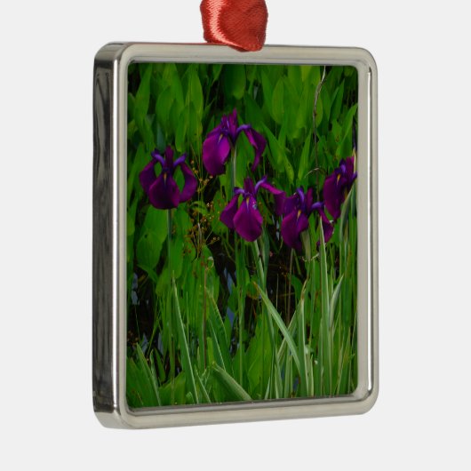 Schöne Lila Iris Silbernes Ornament (Rechts)