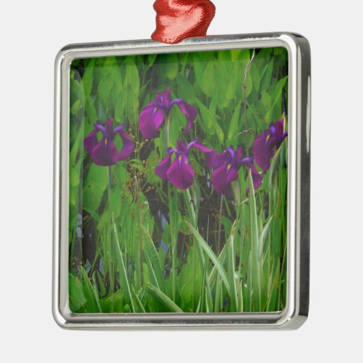 Schöne Lila Iris Silbernes Ornament (Links)