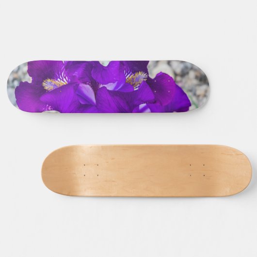 Schöne lila Iris Skateboard (Horizontal)