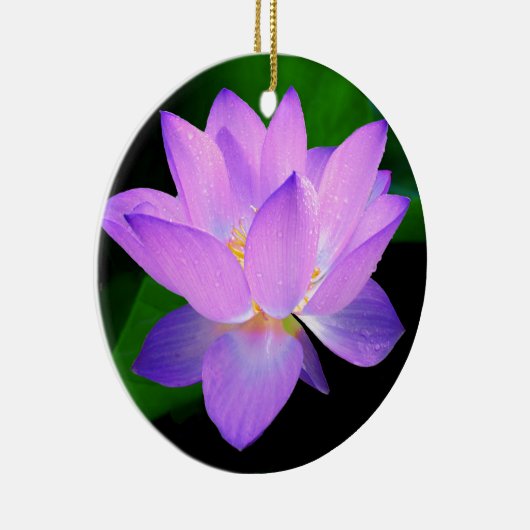 Schöne lila Lotos-Blume im Wasser Keramikornament (Rechts)