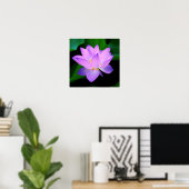 Schöne lila Lotus-Blume im Wasser Poster (Heimbüro)