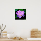 Schöne lila Lotus-Blume im Wasser Poster (Küche)