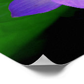 Schöne lila Lotus-Blume im Wasser Poster (Ecke)