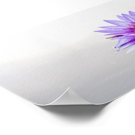 Schöne Lila Lotus,See,Zen Poster (Ecke)