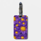 Schöne Lila Michaelmas Daisies Gepäckanhänger (Rückseite vertikal)