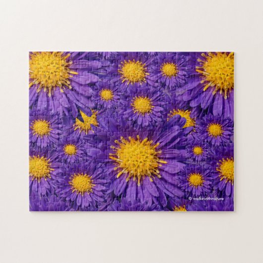 Schöne Lila Michaelmas Daisies Puzzle (Horizontal)