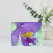 Schöne lila Orchidee Blume Postkarte (Stehend Vorderseite)