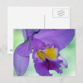 Schöne lila Orchidee Blume Postkarte (Vorne/Hinten)
