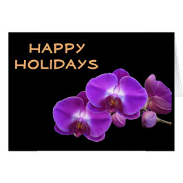 Schöne lila Orchideen-Blume