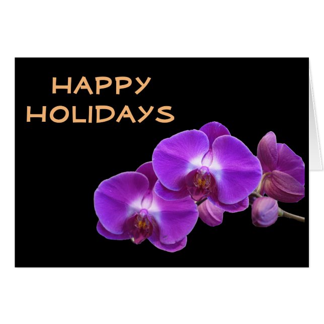 Schöne lila Orchideen-Blume (Vorderseite (Horizontal))